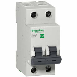 Cầu dao tép MCB Easy9 2P 63A 4.5kA Schneider EZ9F34263