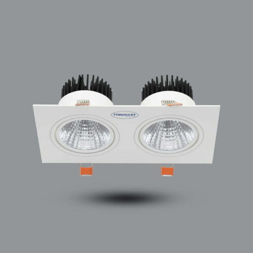 Đèn LED Downlight âm trần 2x10W sáng vàng Paragon OLS210L20/30