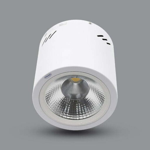 Đèn LED Downlight gắn nổi màu trắng 10W sáng trắng Paragon PSDOO132L10-W/65